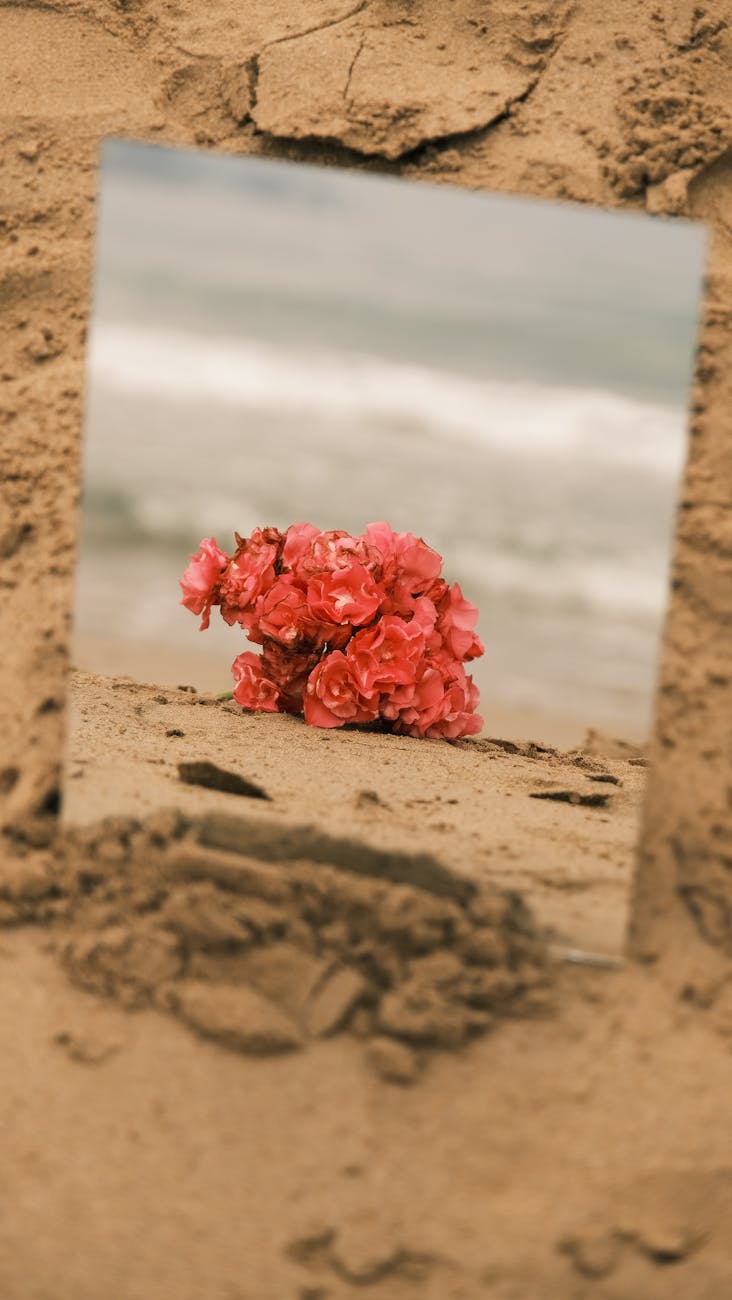 Codes That Grow in Silence: What the Night Teaches