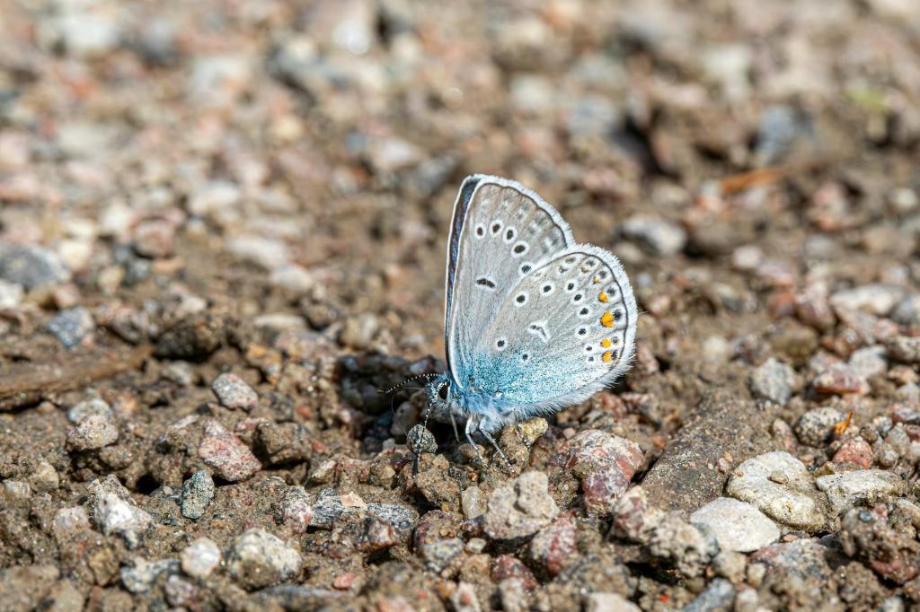 The Power of Being With&nbsp;Myself