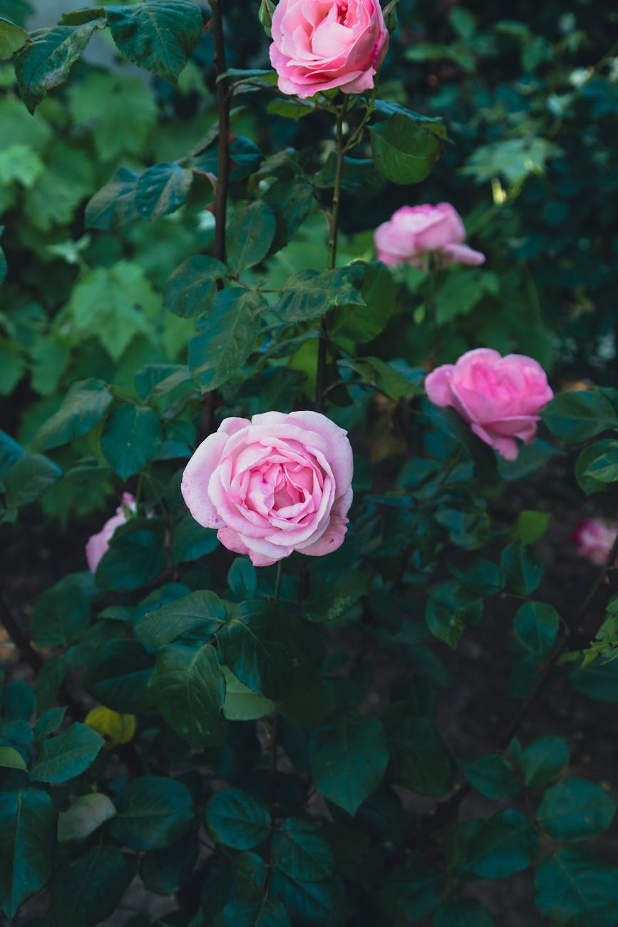 Becoming My Own Safe&nbsp;Place