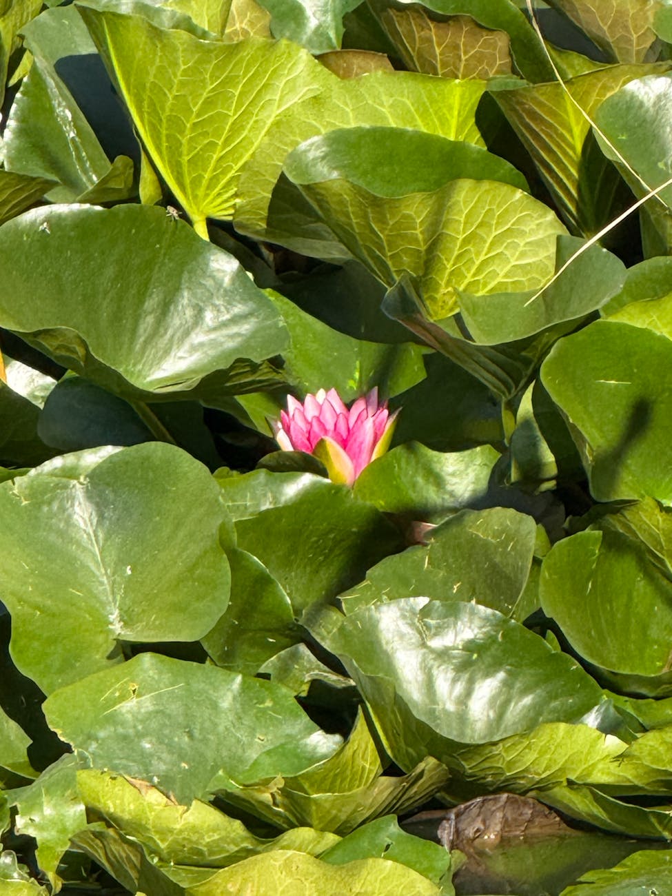 Learning to Stay Close to&nbsp;Myself