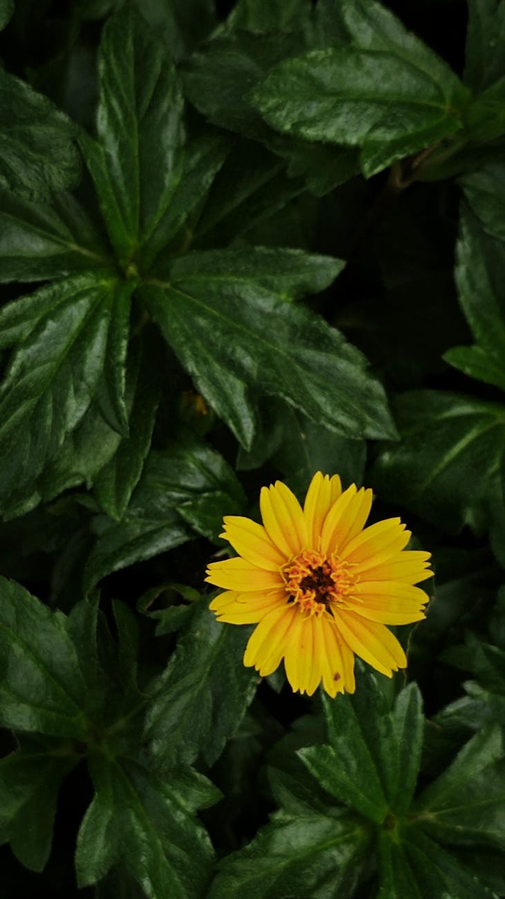 The Gentle Weight of Choosing&nbsp;Yourself